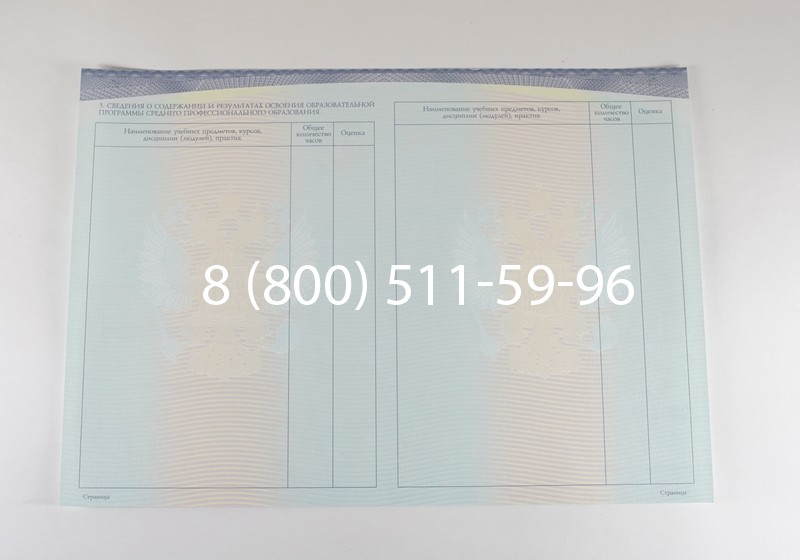 Диплом о среднем образовании (Спецбланк) 2014-2026 года в Омске