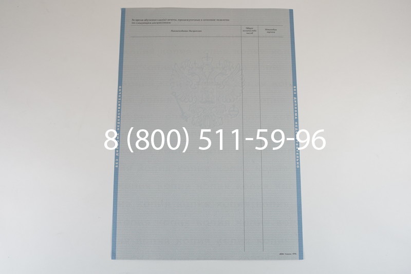 Диплом о высшем образовании 2003-2009 годов в Омске