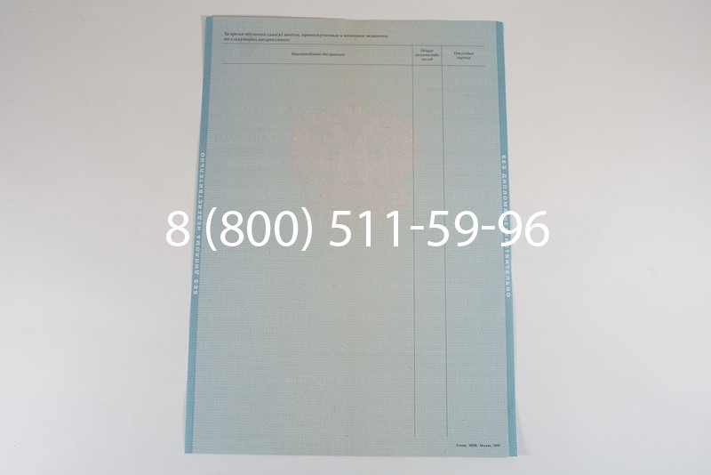 Диплом о высшем образовании 2010-2011 годов в Омске