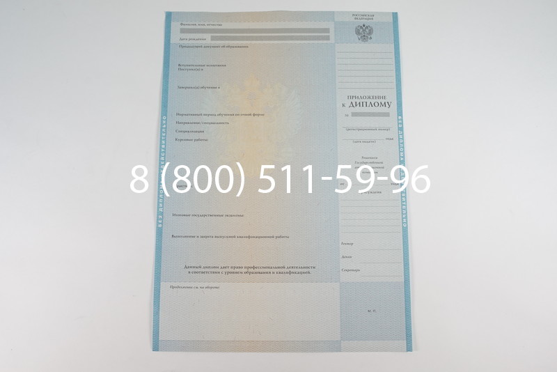 Диплом о высшем образовании 2010-2011 годов в Омске