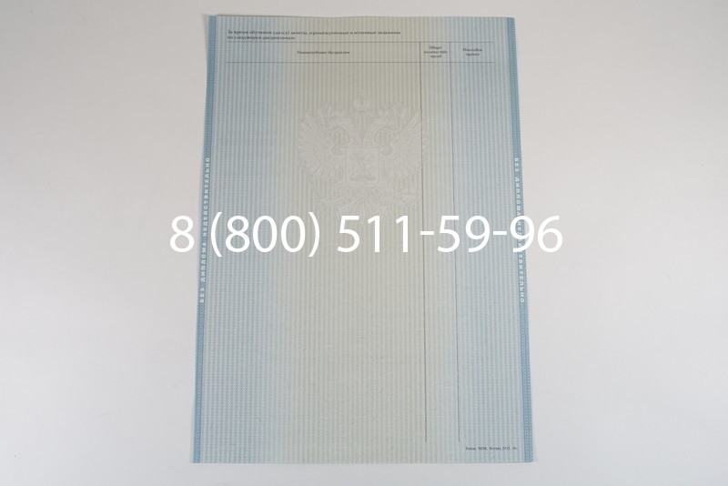 Диплом о высшем образовании 2012-2013 годов в Омске