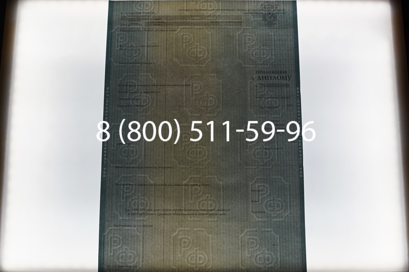 Заказать Диплом о высшем образовании 2012-2013 годов в Омске