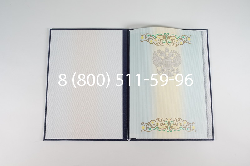 Диплом о высшем образовании 2012-2013 годов в Омске