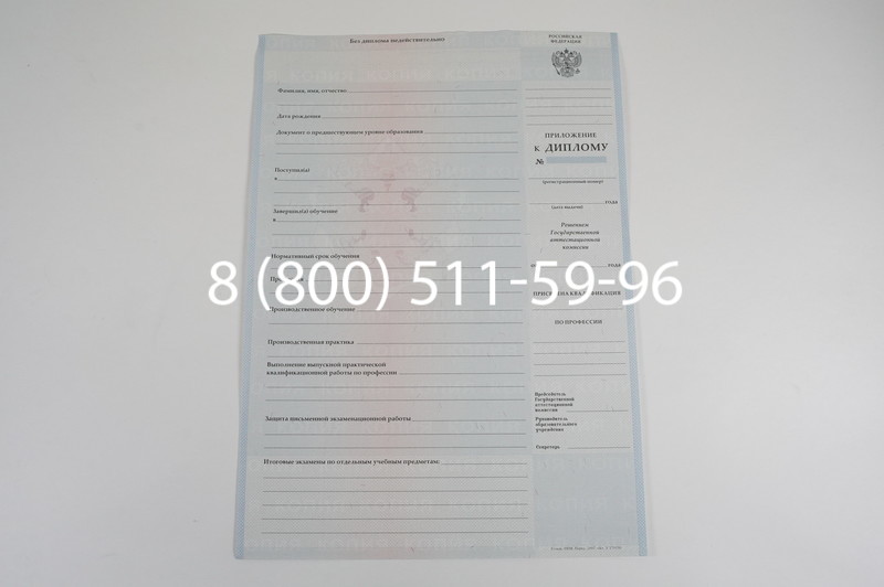 Диплом ПТУ 2007-2010 годов в Омске