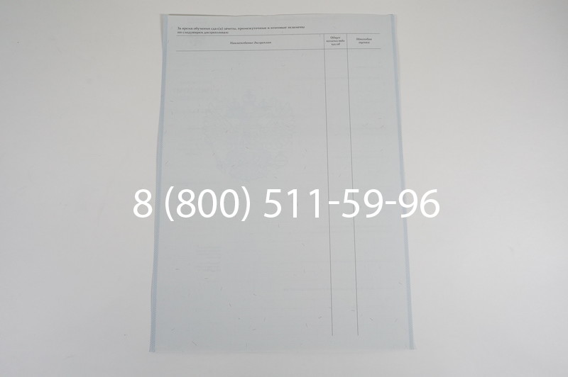 Диплом ПТУ 2007-2010 годов в Омске