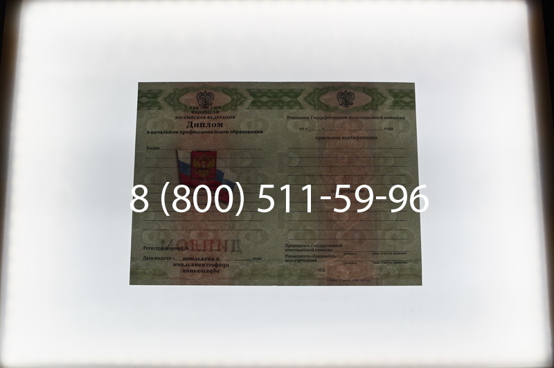Заказать Диплом ПТУ 2014-2026 года в Омске