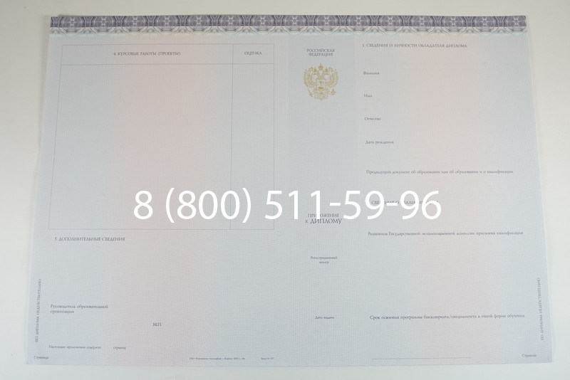 Диплом специалиста (КИРЖАЧ) 2014-2026 года в Омске