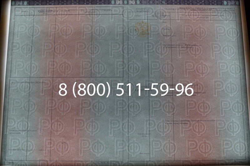 Заказать Диплом специалиста 2014-2026 года в Омске