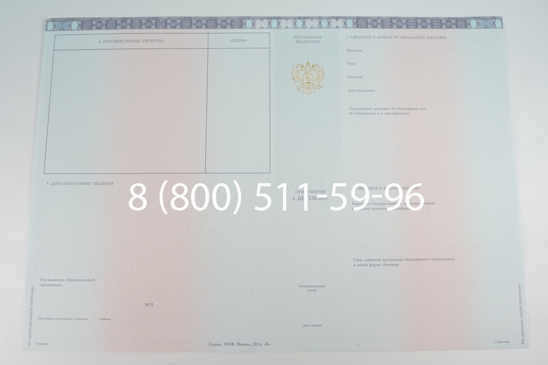 Диплом специалиста 2014-2026 года в Омске