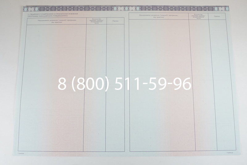 Диплом специалиста 2014-2026 года в Омске