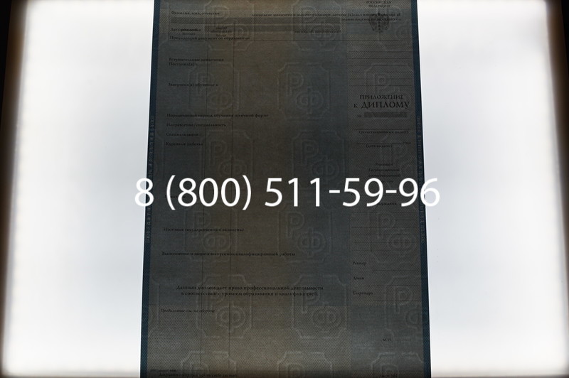 Заказать Диплом специалиста 1997-2002 годов в Омске