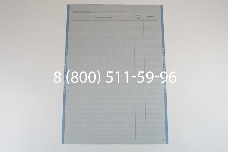 Диплом специалиста 2003-2009 годов в Омске