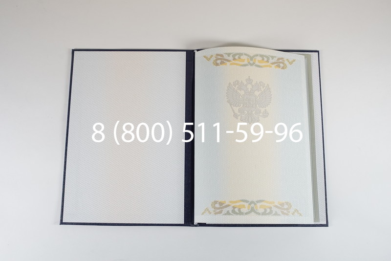 Диплом специалиста 2003-2009 годов в Омске