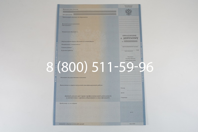 Диплом специалиста 2003-2009 годов в Омске