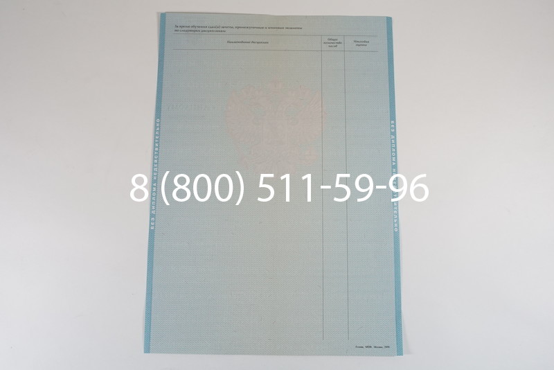 Диплом специалиста 2010-2011 годов в Омске