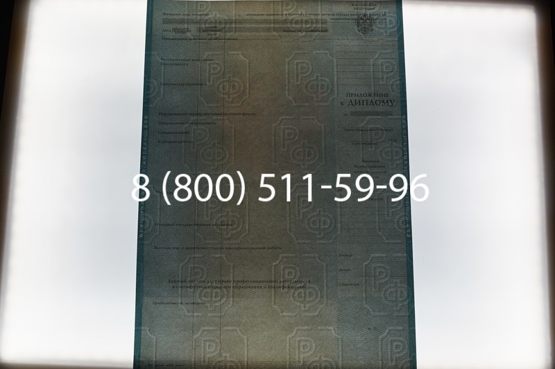 Заказать Диплом специалиста 2010-2011 годов в Омске