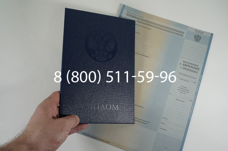Диплом специалиста 2010-2011 годов в Омске