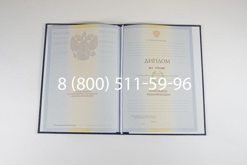 Диплом специалиста 2010-2011 годов в Омске