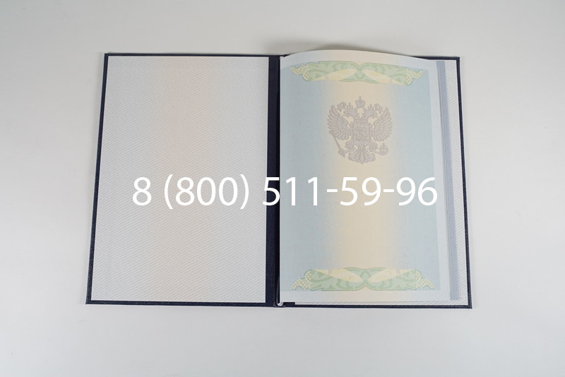 Диплом специалиста 2010-2011 годов в Омске