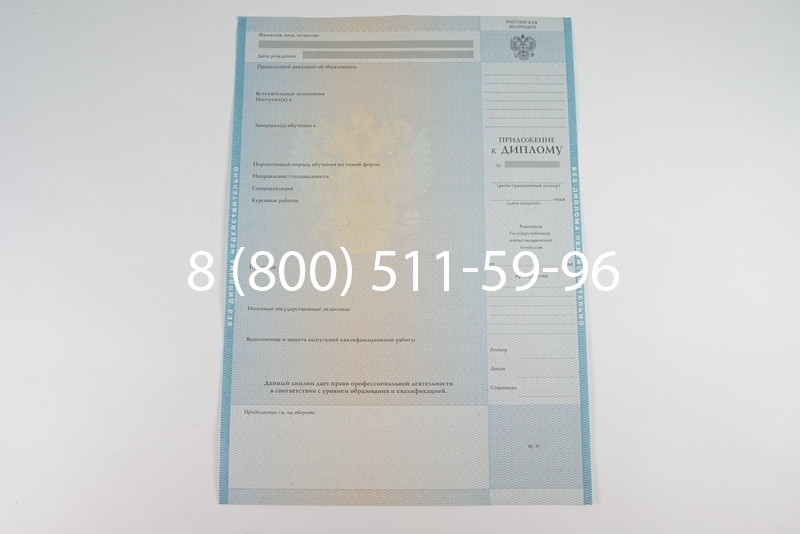 Диплом специалиста 2010-2011 годов в Омске