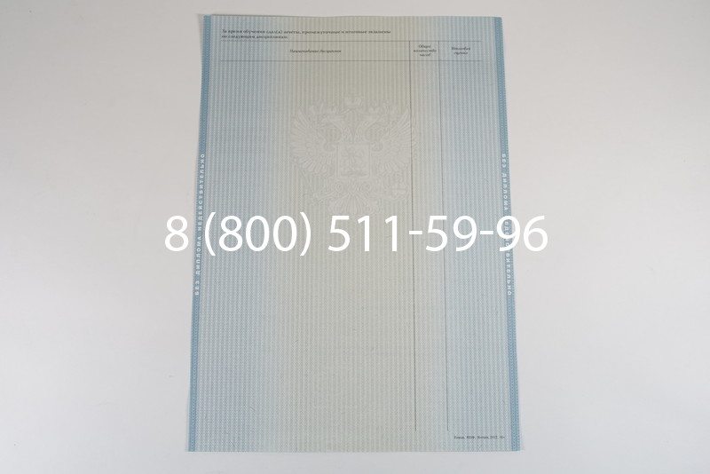 Диплом специалиста 2012-2013 годов в Омске