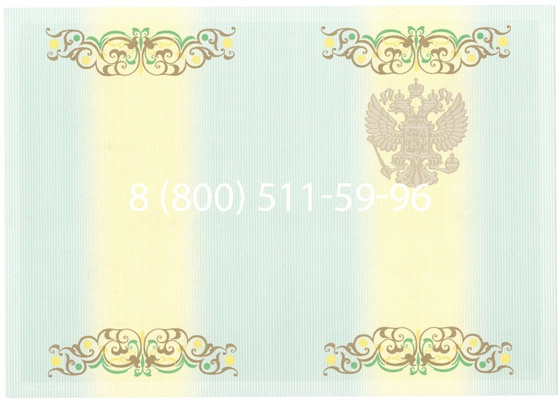 Купить Диплом специалиста 2012-2013 годов в Омске