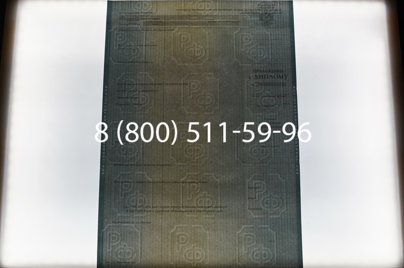 Заказать Диплом специалиста 2012-2013 годов в Омске