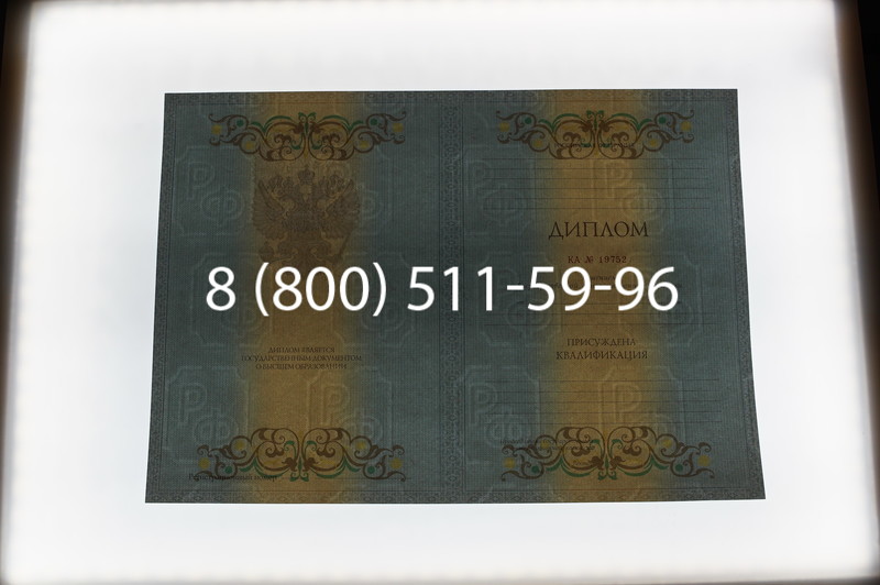 Заказать Диплом специалиста 2012-2013 годов в Омске