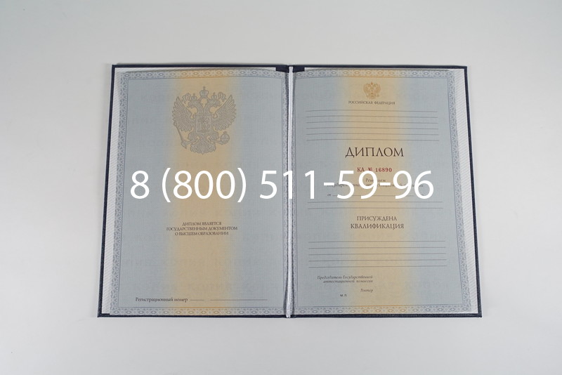 Диплом специалиста 2012-2013 годов в Омске