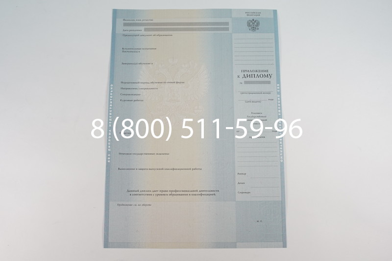 Диплом специалиста 2012-2013 годов в Омске