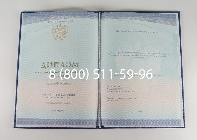 Диплом колледжа (Спецбланк) 2014-2026 года в Омске