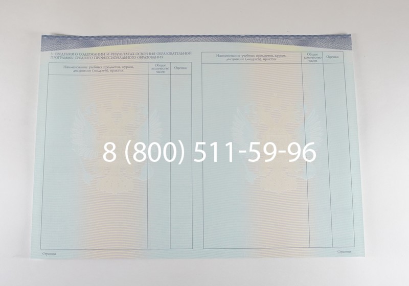 Диплом колледжа (Спецбланк) 2014-2026 года в Омске