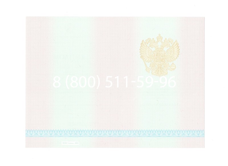 Заказать Диплом техникума 2003-2006 годов в Омске