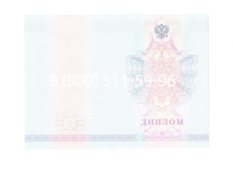 Заказать Диплом техникума 2007-2010 годов в Омске
