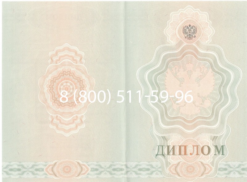 Купить Диплом училища 2007-2009 годов в Омске