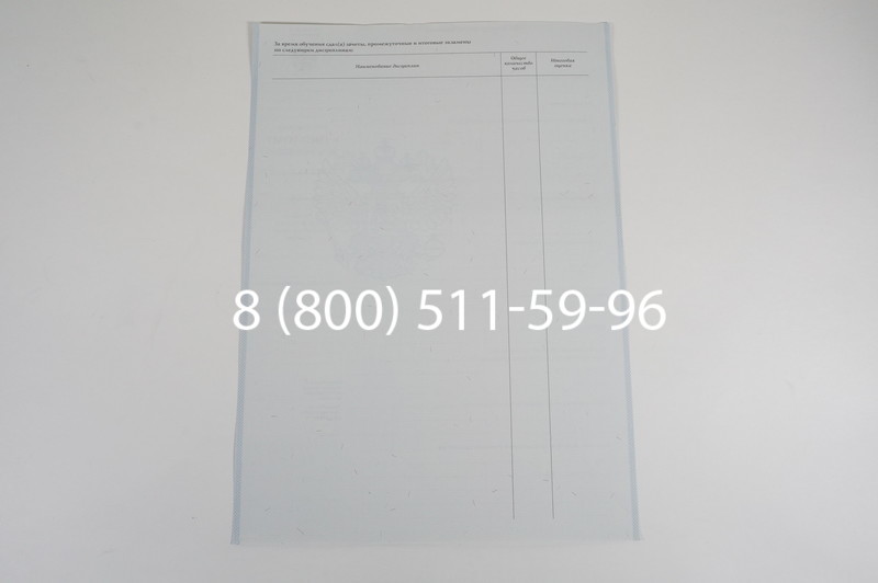 Диплом училища 2007-2009 годов в Омске