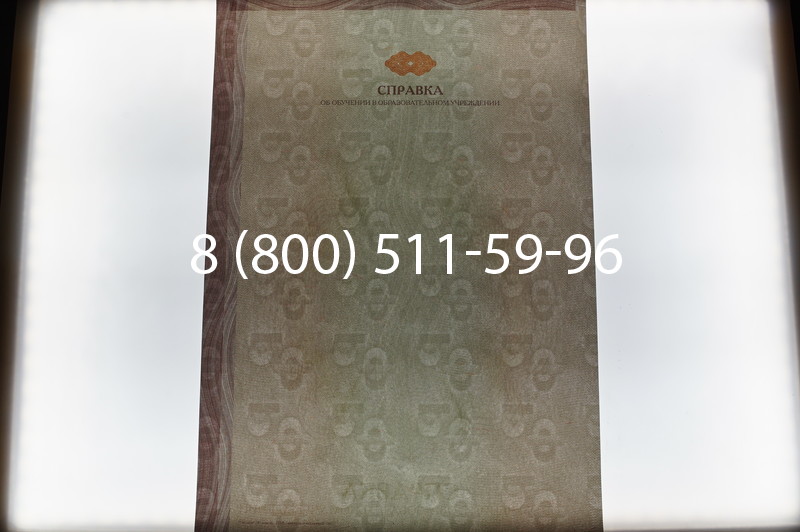 Купить Справка об обучении в Омске