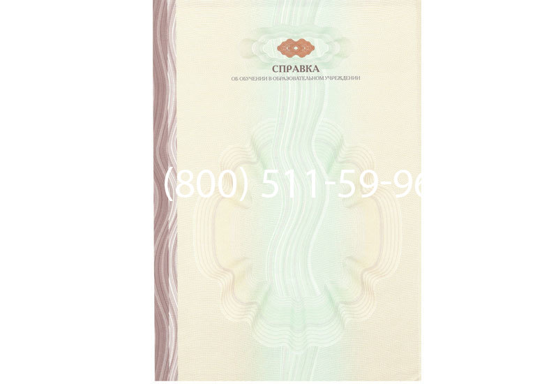 Купить Справка об обучении в Омске Купить Справка об обучении в Омске