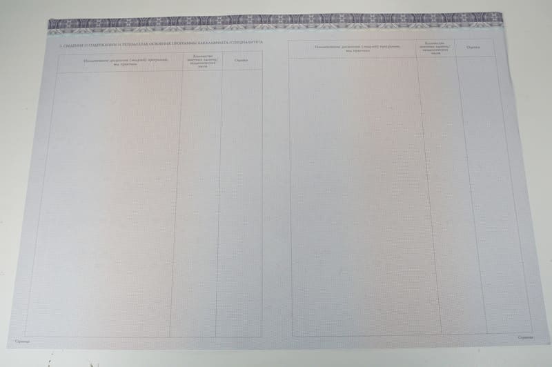 Красный Диплом (с приложением) в Омске